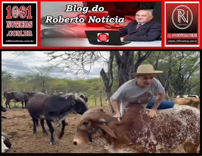 Romero entra no clima das met�foras de C�cero e Efraim e provoca: �Touro chega primeiro, anotem!�