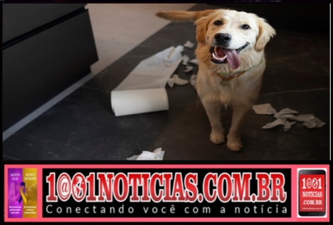 Foto Reproduo - Montagem: Sistema 1001 Notcias de Comunicao 