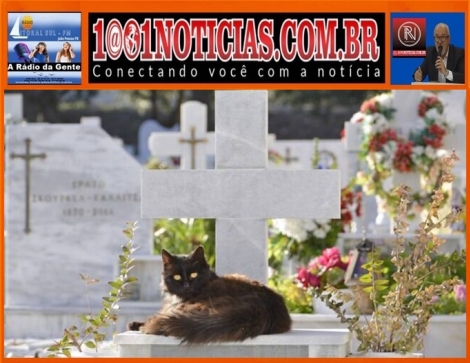 Foto Reproduo - Montagem: Sistema 1001 Notcias de Comunicao