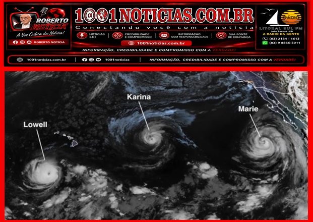 Foto Reprodução - Montagem Portal 1001 Notícias