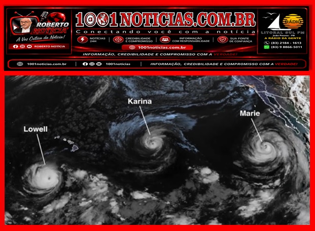 Foto Reprodução - Montagem Portal 1001 Notícias