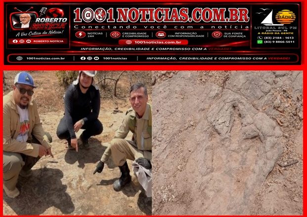 Foto Reprodução - Montagem Portal 1001 Notícias