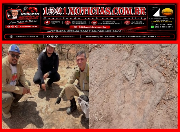 Foto Reprodução - Montagem Portal 1001 Notícias
